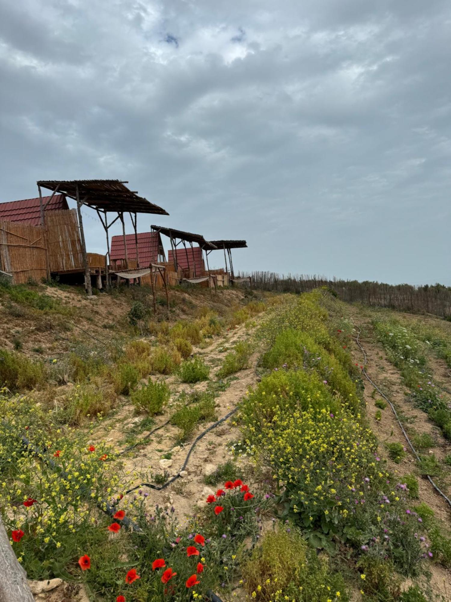 Hotel Ghar El Melh Outdoors à Ra's al Jabal Extérieur photo